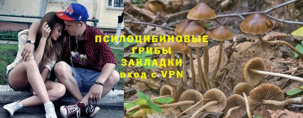 круглые Алексеевка
