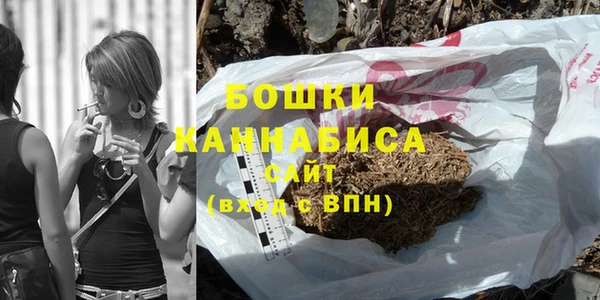 прущие грибы Абинск