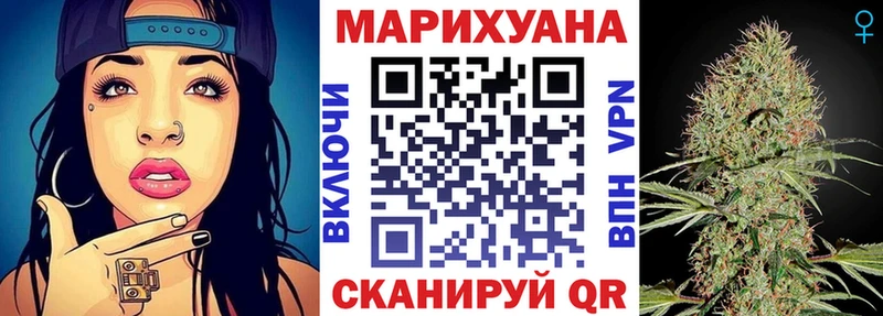 Конопля сатива  закладки  Пугачёв 